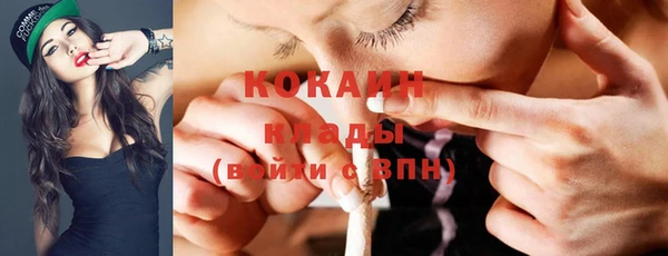 кокс Инсар