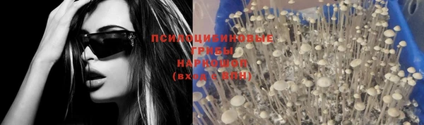 мдпв Зерноград