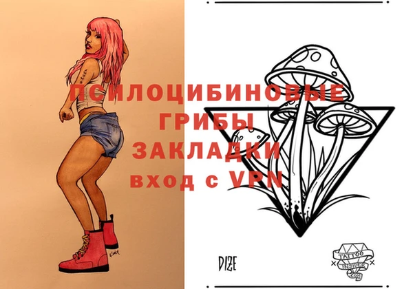 мдпв Зерноград