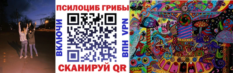 Купить где  Данков  Псилоцибиновые грибы ЛСД 