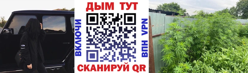 Канабис марихуана  Купить закладки  Данков 